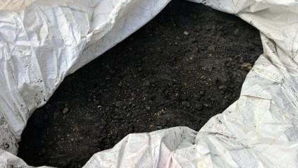 进口铜精矿仓储托管，16 年专业服务广州新天地物流