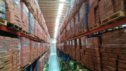 广州黄埔预包装食品仓库租赁指南 - 专业仓储解决方案 | 新天地物流