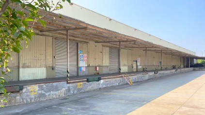 广州新天地物流食品仓：湾区仓储新标杆，助力企业高效安全储运