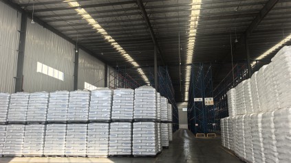 灵活应对市场变动，弹性仓储可选新天地物流广州黄埔仓库