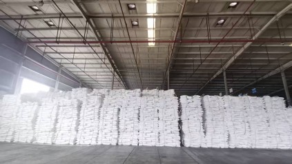 广州木薯淀粉进口物流指南｜清关、仓储与运输要点
