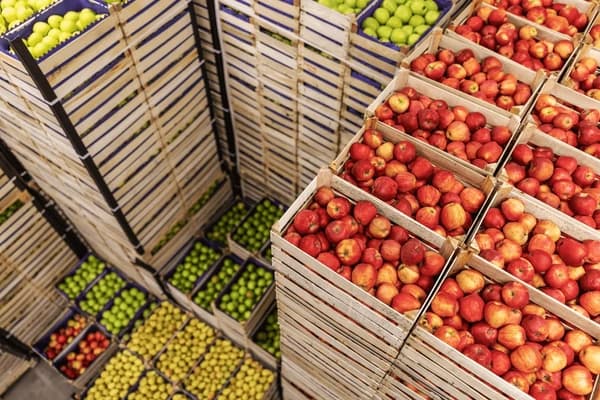 寻觅&ldquo;粮仓&rdquo;：为公司家食品找到完美住所